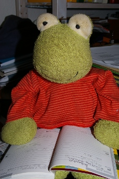 schmidt_01.jpg