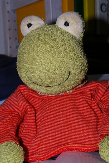 schmidt_06.jpg
